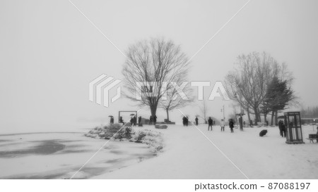 Winter head 87088197