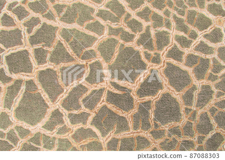 Cracky old wall textures Cracky old wall textures 87088303