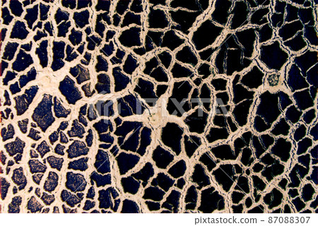 Cracky old wall textures Cracky old wall textures 87088307