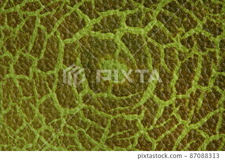 Cracky old green textures. Cracky old green textures. 87088313
