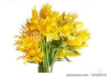 Mimosa, daffodil and tulip flowers bouquet on white background. Easter, Mothers Day, Women's day concept 87088510