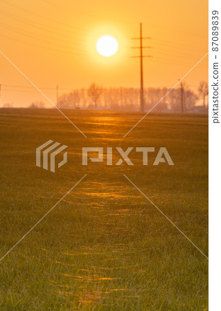 Spiders web reflected in a setting sun 87089839
