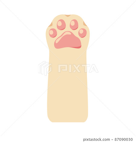 Cat's hand - Stock Illustration [87090030] - PIXTA