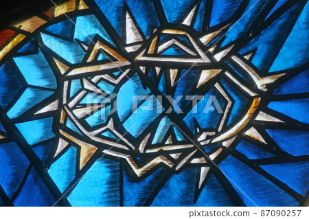 Crown of Thorns 87090257