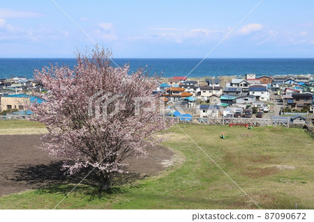 北海道森濱奈須台公園櫻花和沙街 87090672