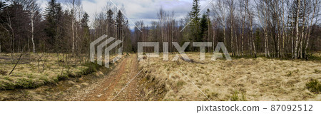 forest road in the Carpathian mountains 87092512