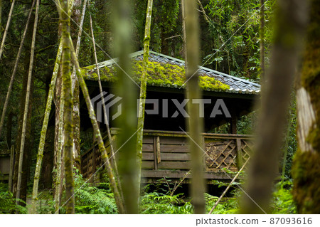 台灣，森林，明池，涼亭，台湾、森、明るい池、パビリオン、Taiwan, forest, 87093616