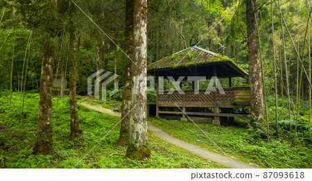 台灣,森林,明池,涼亭,台湾、森、明るい池、パビリオン、Taiwan, forest, 台灣,森林,明池,涼亭,台湾、森、明るい池、パビリオン、Taiwan, forest, 87093618