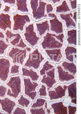 Cracky old violet textures Cracky old violet textures 87094072