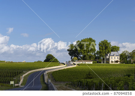 Typical vineyards near Chateau Pichon Longueville Comtesse de Lalande, Bordeaux, Aquitaine, France 87094858