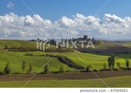Typical Tuscan landscape near Siena, Tuscany, Italy 87094881