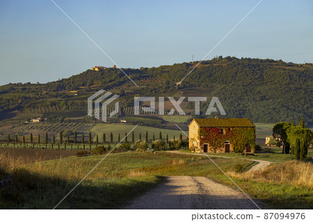 Typical Tuscan morning autumn landscape, Val D'Orcia, Tuscany, Italy 87094976