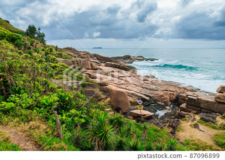 Coastline with plants and ocean in Brazil. 87096899