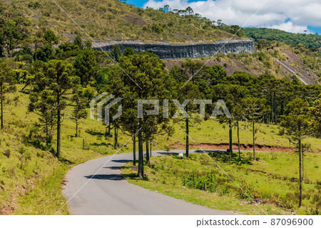 Road with trees to Bride's Veil waterfall Brazil Road with trees to Bride's Veil waterfall Brazil 87096900