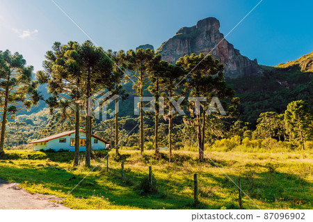Espraiado Canyon with evergreen trees and house in Urubici, Santa Catarina, Brazil. Aerial view 87096902