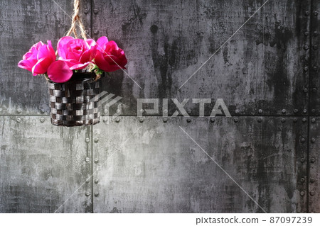 複製空間，紅花 87097239