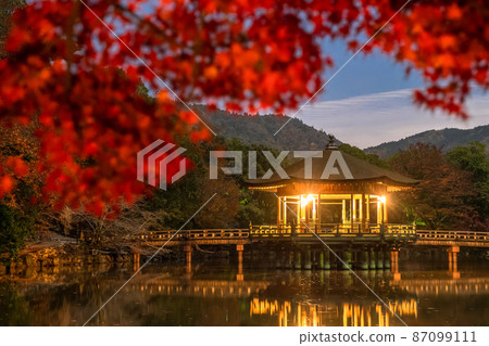 《Nara Prefecture》 Autumn leaves and Ukimido / Autumn Nara Park 87099111