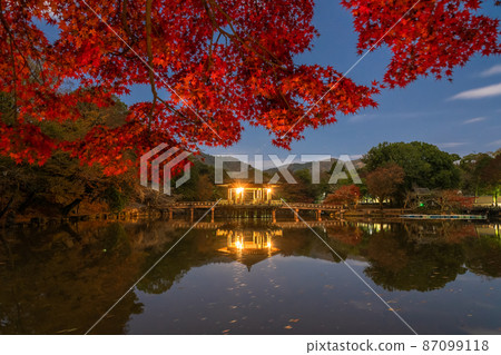 《奈良縣》秋葉浮見堂 / 秋天的奈良公園 87099118