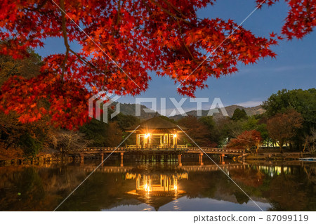 《Nara Prefecture》 Autumn leaves and Ukimido / Autumn Nara Park 87099119