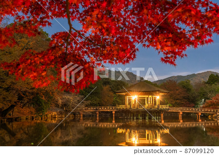 《Nara Prefecture》 Autumn leaves and Ukimido / Autumn Nara Park 87099120