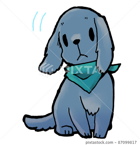 脖子傾斜的狗黑頭髮藍色圍巾 87099817