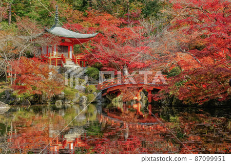 秋天的京都，醍醐寺弁天堂的景色和倒映在池塘里的紅葉 87099951