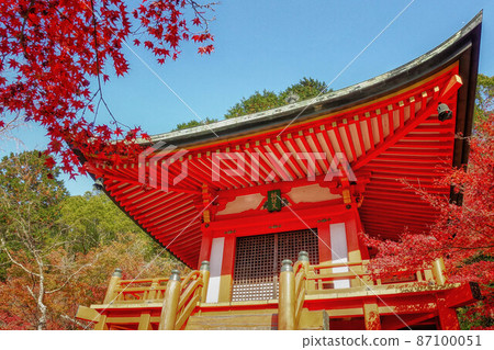 Benten-do and autumn leaves at Daigoji Temple in autumn Kyoto 87100051
