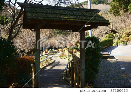Beyond the garden gate is the world of winter peony protected by a straw hat 87100613