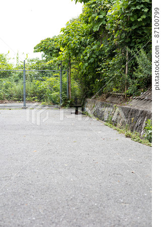 EOSRP. A cat that loves one person in Hiroshima city. EOSRP. A cat that loves one person in Hiroshima city. 87100799