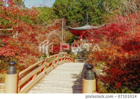 這是京都的Benten,禪寺和秋葉的景色 這是京都的Benten,禪寺和秋葉的景色 87101014