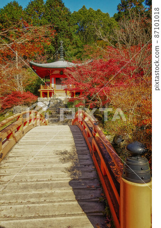 這是京都的Benten,禪寺和秋葉的景色 這是京都的Benten,禪寺和秋葉的景色 87101018