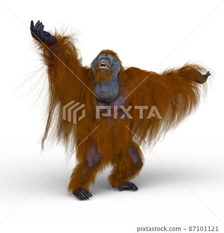 猩猩 87101121