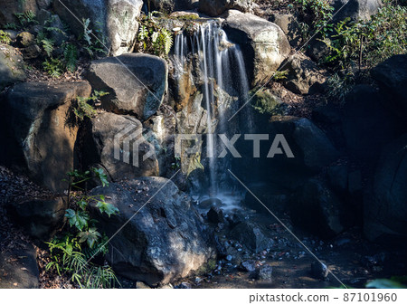 Winter in Arisugawa Memorial Park 87101960