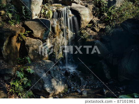 有棲川紀念公園的冬天 87101961