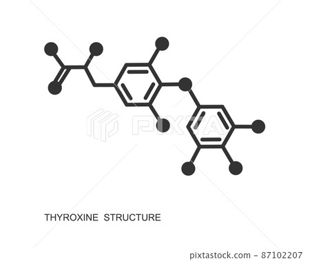Thyroxine chemical molecular structure. Major endogenous hormone secreted by the thyroid gland isolated on white background. Vector graphic illustration 87102207
