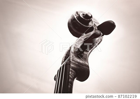 Violin scroll close-up 87102219