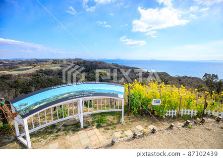 在南知多町藤神峰櫻花公園遠眺油菜花和伊勢灣的大海 在南知多町藤神峰櫻花公園遠眺油菜花和伊勢灣的大海 87102439