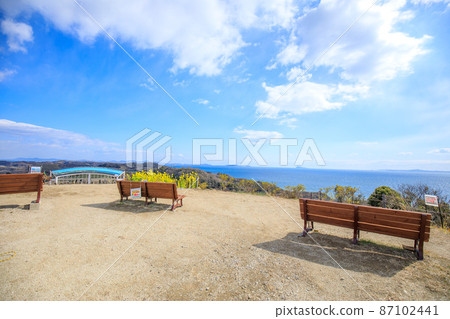 在南知多町藤神峰櫻花公園遠眺油菜花和伊勢灣的大海 在南知多町藤神峰櫻花公園遠眺油菜花和伊勢灣的大海 87102441