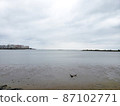 東京灣海濱風景，您可以看到潮汐的沙灘和對岸的建築物2 87102771