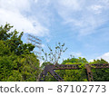 生鏽的鋼架綠藍天空景觀[夏季] 1 87102773