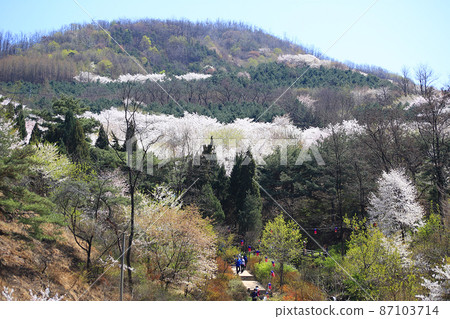 春天的風景 87103714