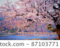 Togetsukyo Bridge and Sakura in Arashiyama, Kyoto 87103771