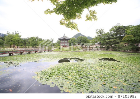 Gyeongbokgung Gyeongbokgung 87103982