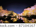Kyoto Toji cherry blossoms lit up 87104167