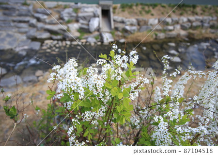 River scenery 87104518