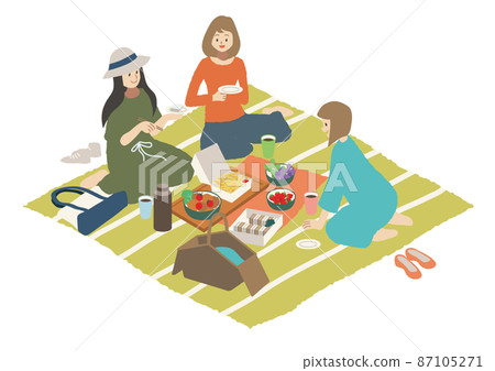 Women enjoying a picnic 87105271