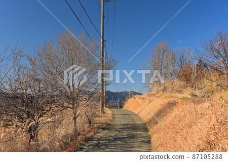冬季蒲葦《大井町》 冬季蒲葦《大井町》 87105288