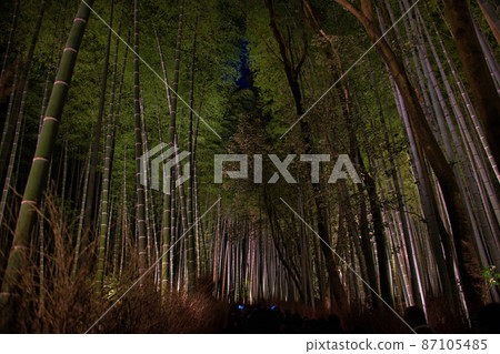 最後的京都嵐山花燈2021 最後的京都嵐山花燈2021 87105485