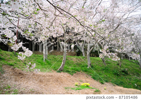 大雄公園 大雄公園 87105486