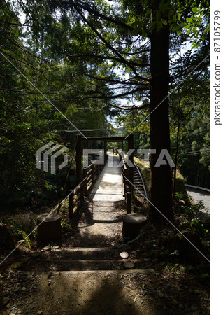 From Kumano Kodo 87105799